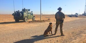 Curso PMC - Contratista militar